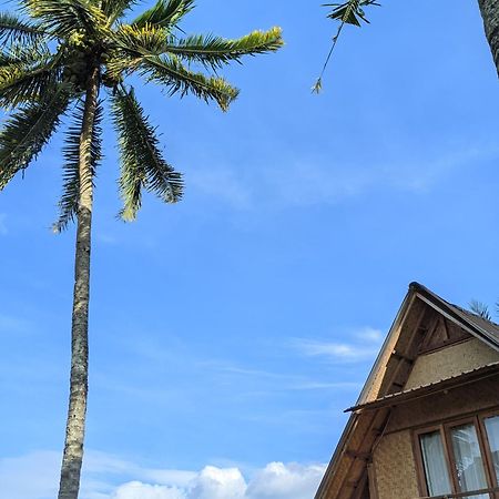 Dewi Rinjani Homestay Tetebatu Esterno foto