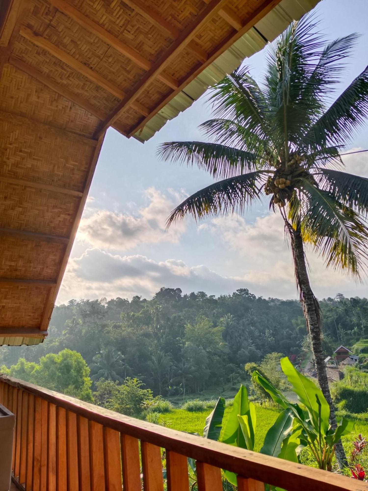 Dewi Rinjani Homestay Tetebatu Esterno foto