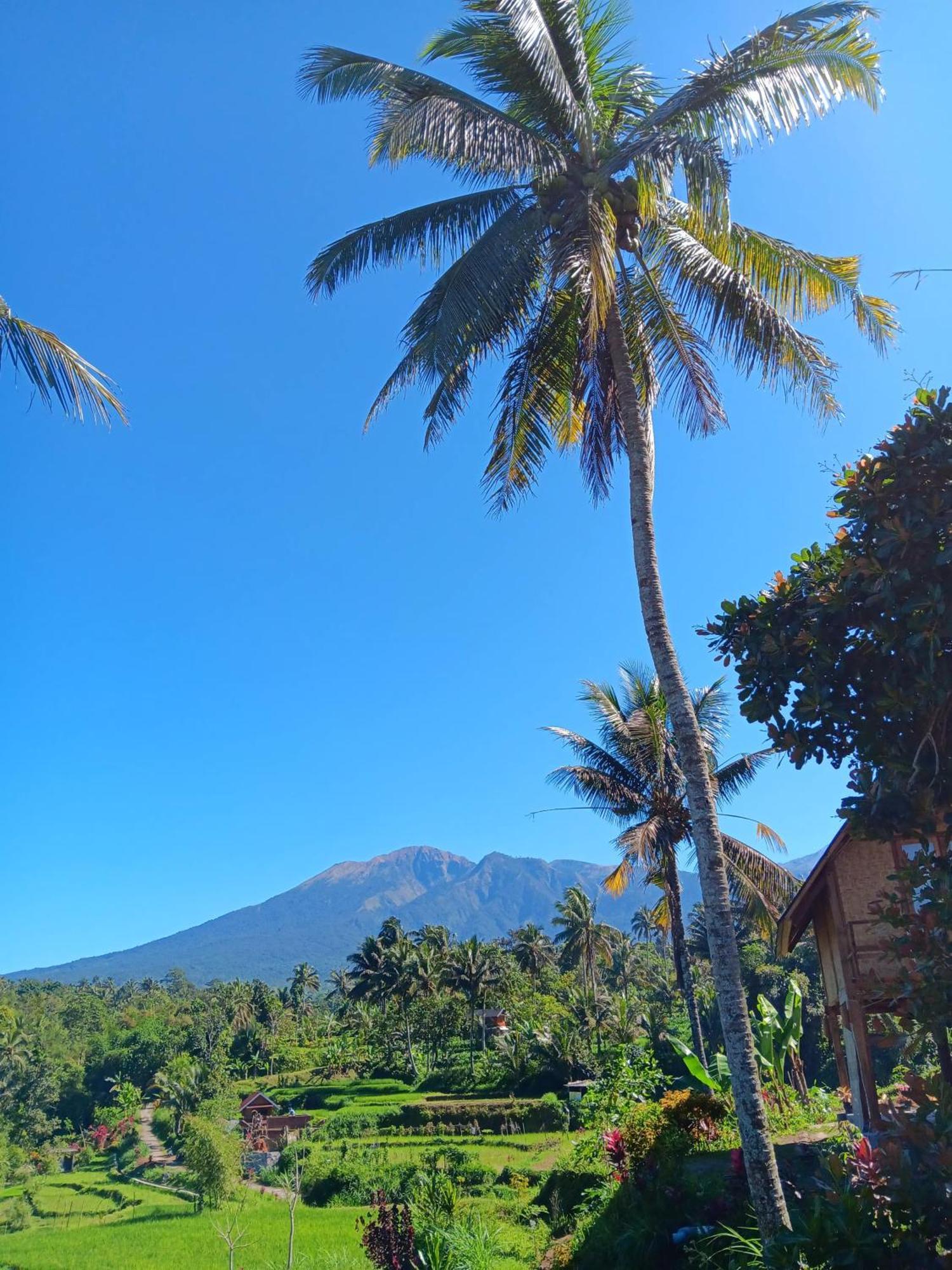 Dewi Rinjani Homestay Tetebatu Esterno foto