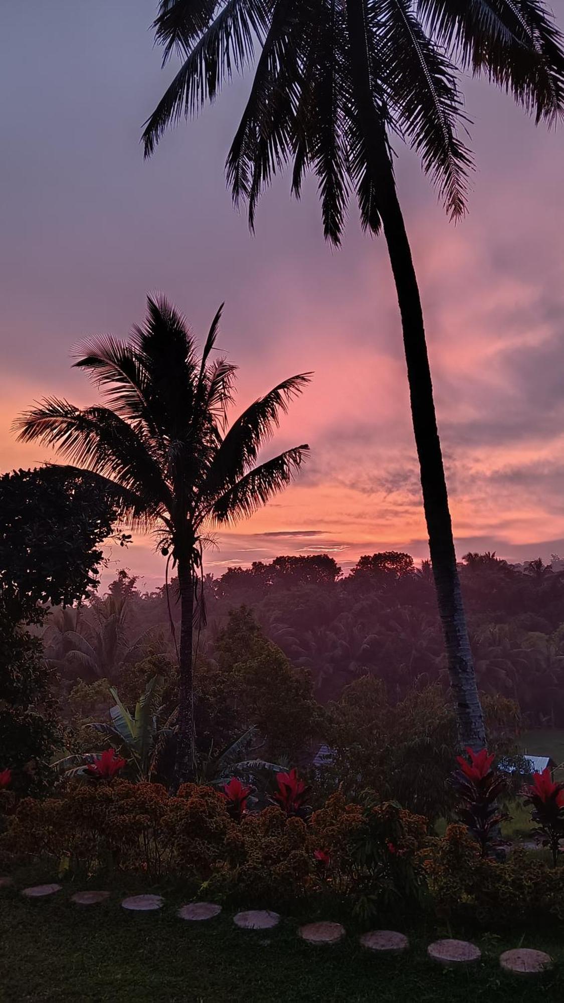 Dewi Rinjani Homestay Tetebatu Esterno foto