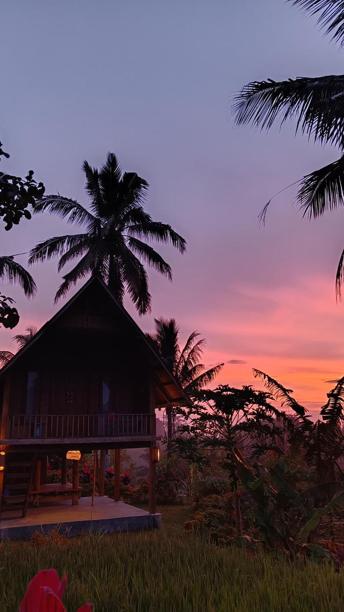 Dewi Rinjani Homestay Tetebatu Esterno foto
